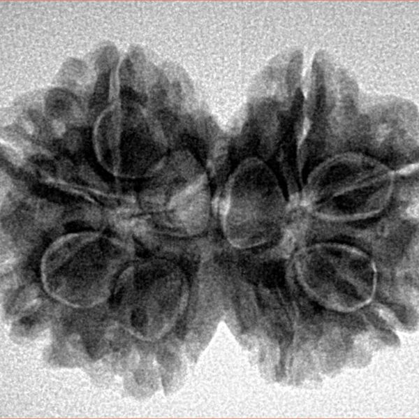 8 MK Gaurishankar 28mm 4.71gm - Inverse xray
