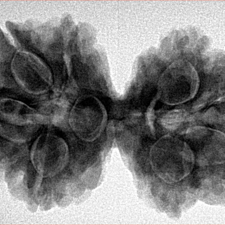 8 MK Gaurishankar 34.5mm 6.86gm - Inverse xray