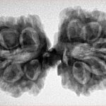 12 MK Mini Trijuti & Ganesh 34.6mm 6.26gm - Inverse xray