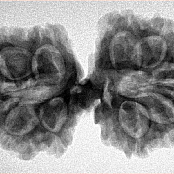12 MK Mini Trijuti & Ganesh 34.6mm 6.26gm - Inverse xray