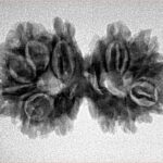 14 Mk Gaurishankar 29.1mm 3.79gm - Inverse xray