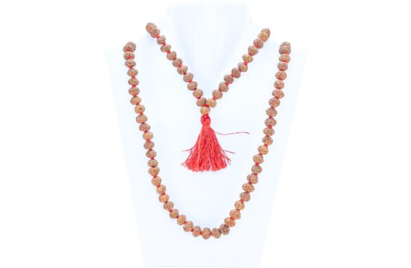9 Mukhi Indonesian Mala (Wear) - Mala Image