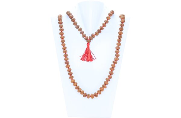9 Mukhi Indonesian Mala (Jaap) - Mala Image