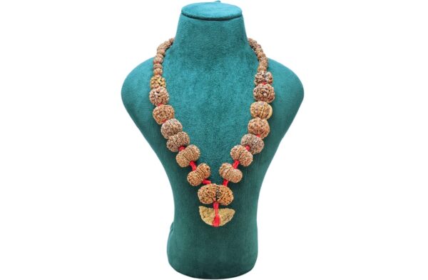 1 to 14 Mukhi Rudraksha Mala ( Siddha Mala ) 34.3685 - Mala Image