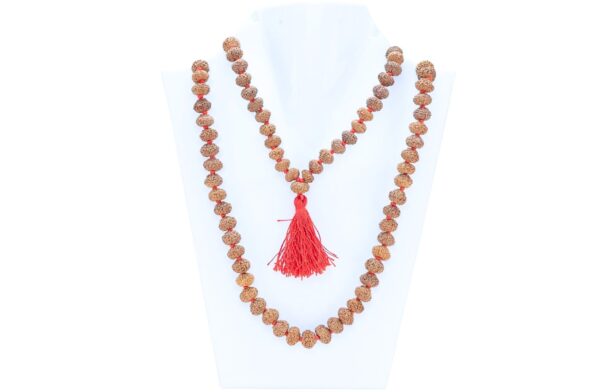 10 Mukhi Indonesian Mala (Wear) - Mala Image