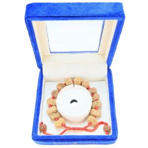 14 Mukhi Indonesian Bracelet - Mala Image