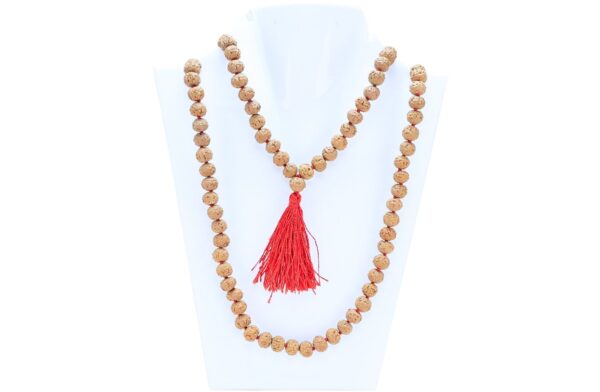 7 Mukhi Indonesian Mala (Wear) - Mala Image