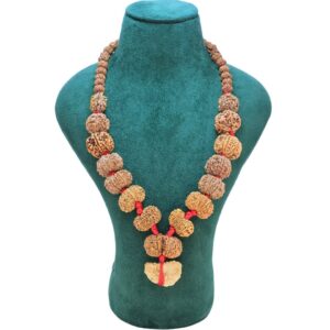 1 to 14 Mukhi Rudraksha Mala ( Siddha Mala ) 31.1852 - Mala Image