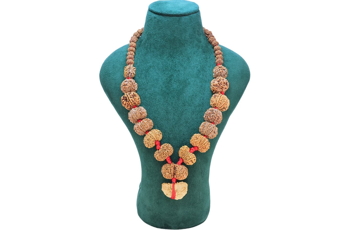 1 to 14 Mukhi Rudraksha Mala ( Siddha Mala ) 31.1852 - Mala Image