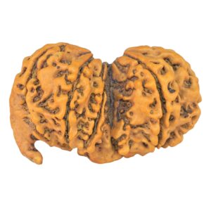 10 Mk G.S & Ganesh 35.4mm 5.48gm - Rudraksha back