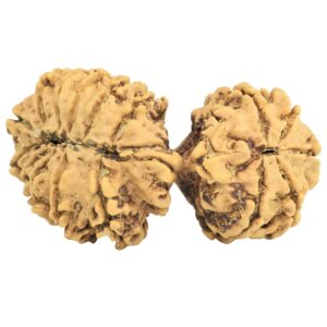 16 MK Gaurishankar 37.8mm 5.25gm - Rudraksha back