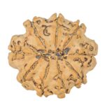 9 Mukhi Rudraksha 24.3mm 3.75gm - Rudraksha back
