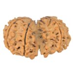 7 MK Gaurishankar 38.6mm 6.86gm - Rudraksha back