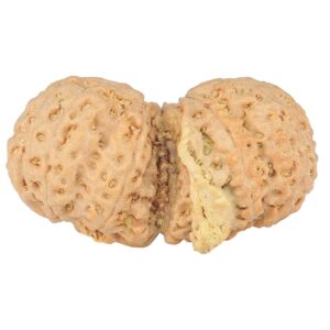 9 Mukhi G.S & Ganesh 35mm 6.1gm - Rudraksha back