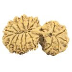 17 MK Gaurishankar 43.1mm 8.28gm - Rudraksha back