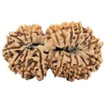 18 MK Gaurishankar 38.4mm 7gm - Rudraksha back
