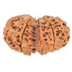 10 Mk Gaurishankar 34mm 6.28gm - Rudraksha back