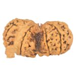 9 Mukhi G.S & Ganesh 36.3mm 5.33gm - Rudraksha back