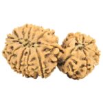 17 MK Gaurishankar 39.1mm 6.48gm - Rudraksha back