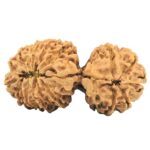 17 MK Gaurishankar 41.7mm 7.66gm - Rudraksha back