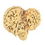 8 MK Garbhgauri & Ganesh 29.1mm 2.78gm - Rudraksha back