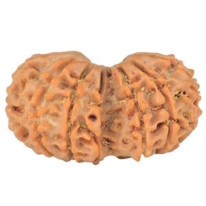14 Mk Gaurishankar 29.7mm 4.16gm - Rudraksha back