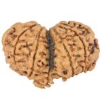 12 MK Mini Trijuti & Ganesh 34.6mm 6.26gm - Rudraksha back
