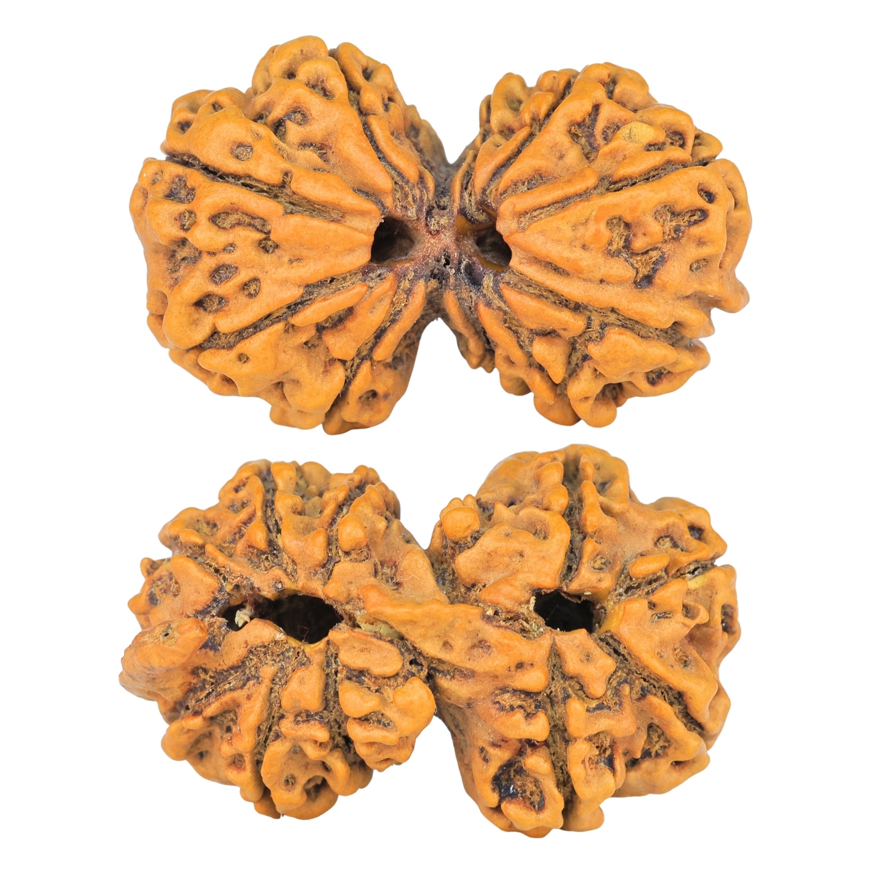 10 Mk G.S & Ganesh 35.4mm 5.48gm - Rudraksha