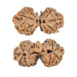 8 Mukhi G.S & Ganesh 32.1mm 4.67gm - Rudraksha