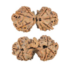 8 Mukhi G.S & Ganesh 32.1mm 4.67gm - Rudraksha