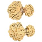 8 MK Garbhgauri & Ganesh 29.1mm 2.78gm - Rudraksha