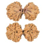 7 MK Gaurishankar 38.6mm 6.86gm - Rudraksha