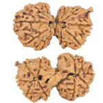 12 MK Mini Trijuti & Ganesh 34.6mm 6.26gm - Rudraksha