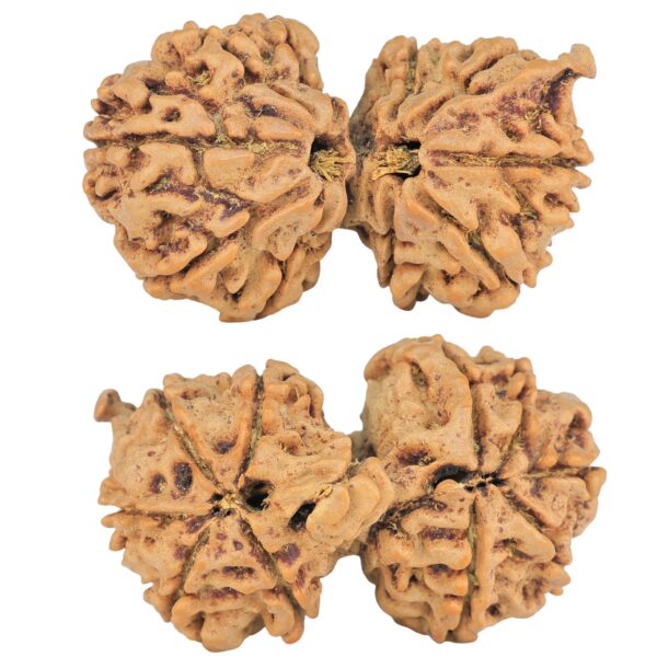 12 MK Mini Trijuti & Ganesh 34.6mm 6.26gm - Rudraksha