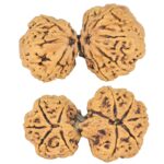 11 Mukhi Mini Trijuti 40mm 6.56gm - Rudraksha
