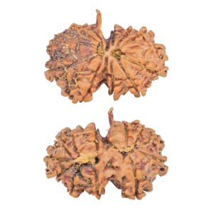 12 Mukhi G.S & Ganesh 27.9mm 3.72gm - Rudraksha