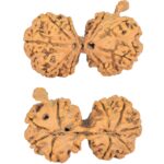 9 Mukhi G.S & Ganesh 36.3mm 5.33gm - Rudraksha