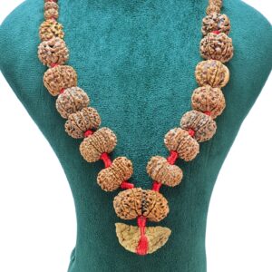 1 to 14 Mukhi Rudraksha Mala ( Siddha Mala ) 34.3685 - Rudraksha Zoom Image