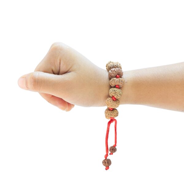 14 Mukhi Indonesian Bracelet - Rudraksha Zoom Image