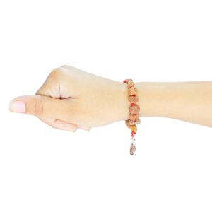 Siddha Bracelet Indonesian - Rudraksha Zoom Image
