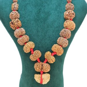1 to 14 Mukhi Rudraksha Mala ( Siddha Mala ) 31.1852 - Rudraksha Zoom Image