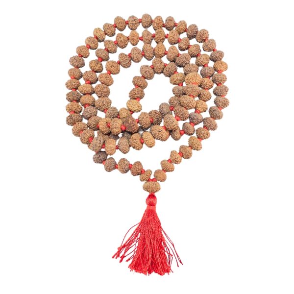 10 Mukhi Indonesian Mala (Wear) - Rudraksha Zoom Image