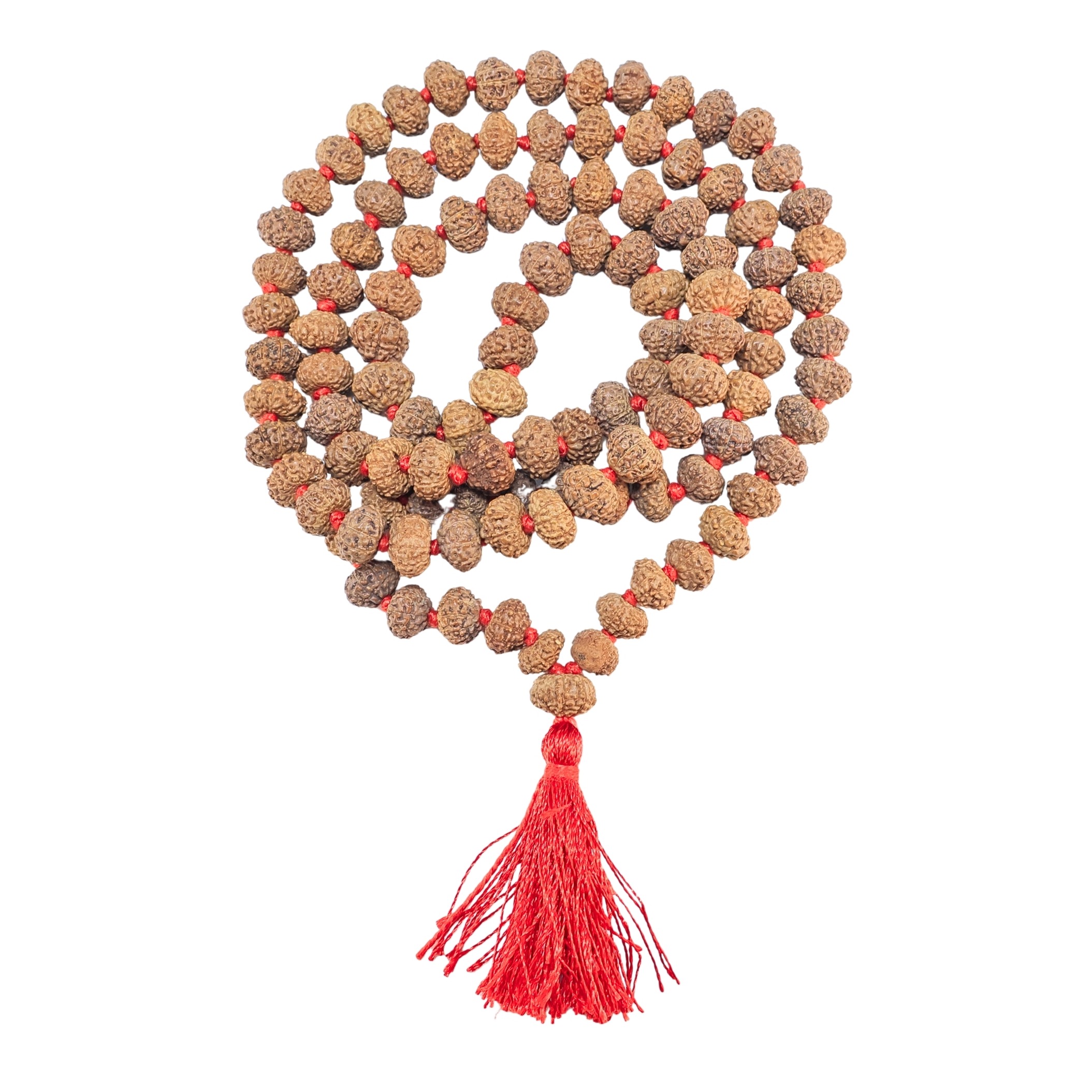 10 Mukhi Indonesian Mala (Wear) - Rudraksha Zoom Image