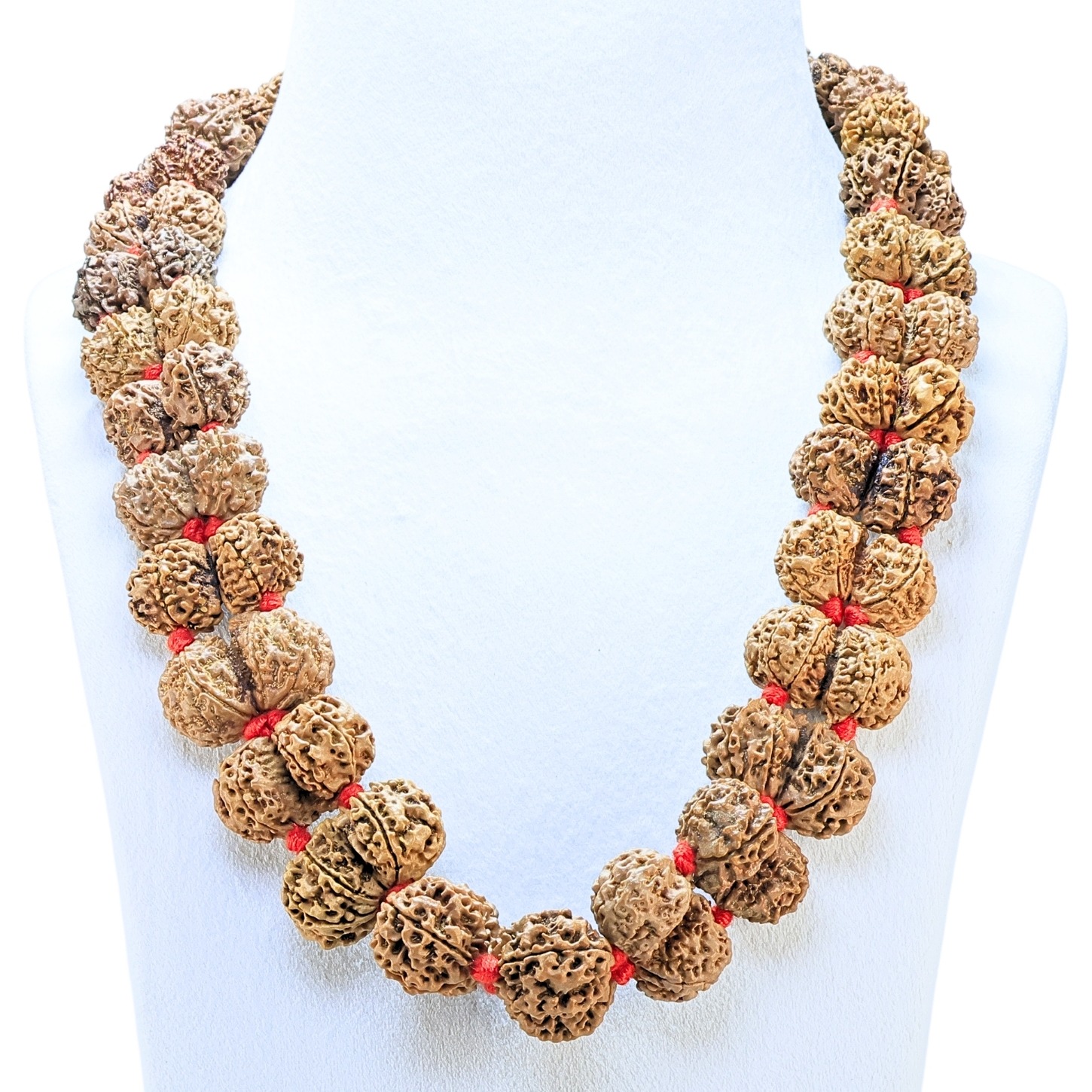 7 Mukhi Gaurishankar Nepali Kantha - Rudraksha Zoom Image