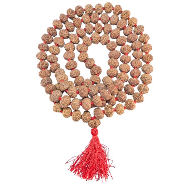 8 Mukhi Indonesian Mala (Jaap) - Rudraksha Zoom Image