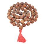 4 Mukhi Nepali Kantha - Rudraksha Zoom Image