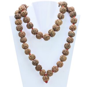 7 Mukhi Nepali Kantha ( 16-18mm ) - Rudraksha Zoom Image