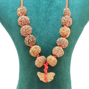 Surya Shakti Kawach - Rudraksha Zoom Image