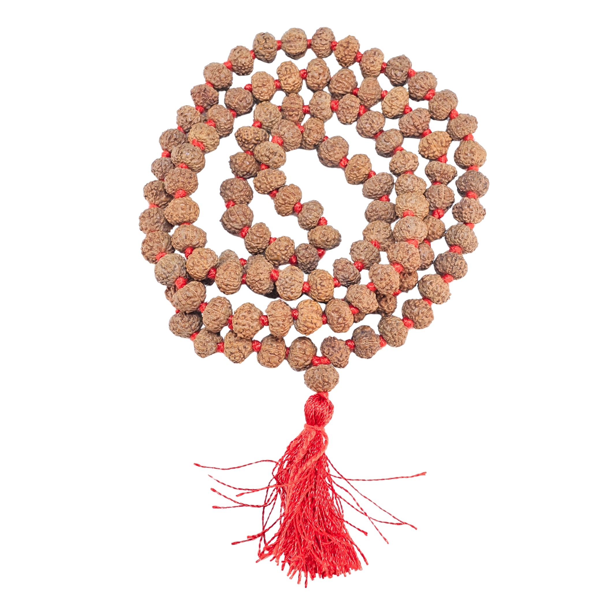 8 Mukhi Indonesian Mala (Wear) - Rudraksha Zoom Image