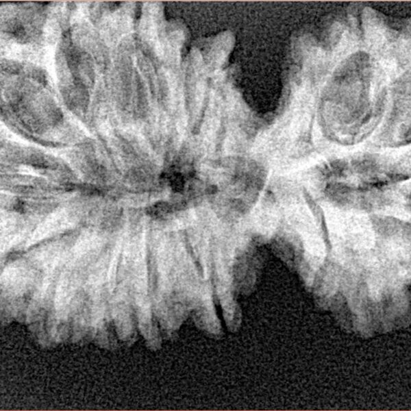 18 MK Gaurishankar 39.4mm 5.56gm - Xray
